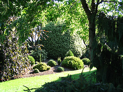 Jean Iseli Memorial Garden