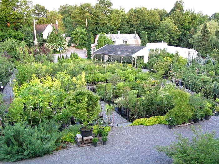 Centre Jardin - Au Jardin de Jean-Pierre