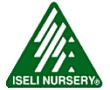 Iseli Nursery