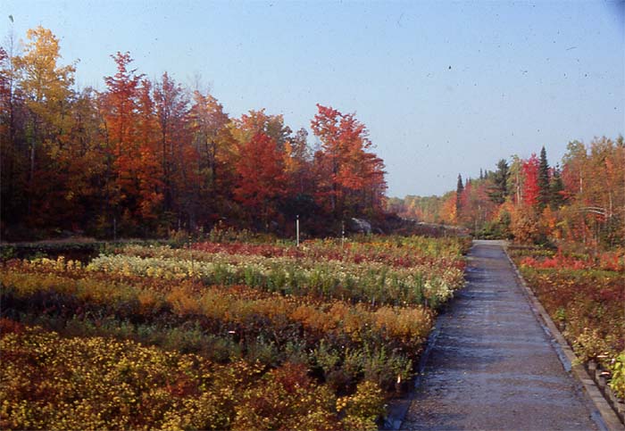 Production de végétaux - Au Jardin de Jean-Pierre